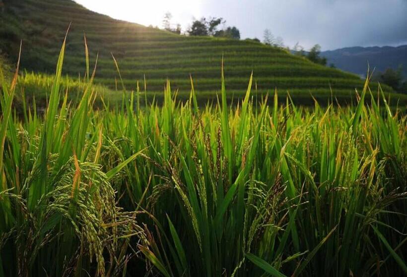 ホテル Longji Terrace La Vie Inn