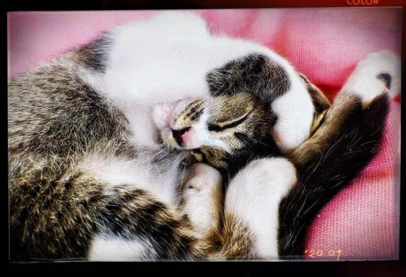 ホテル Longji Terrace La Vie Inn