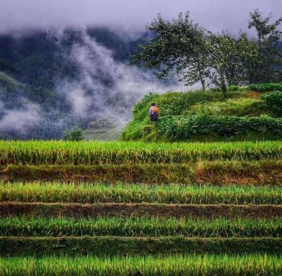 ホテル Longji Terrace La Vie Inn