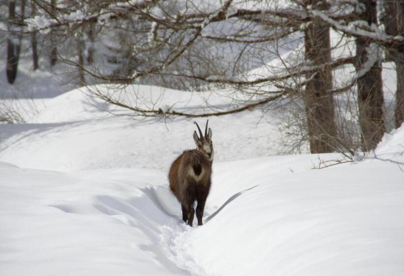 호텔 Petit Dahu Chambres Et Restaurant