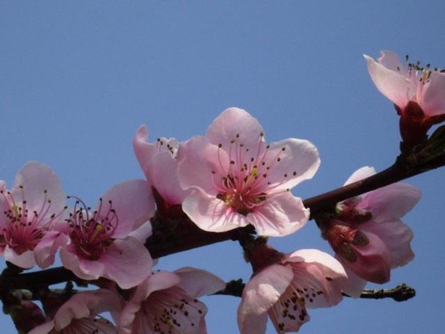 Отель Spezialitätenhof Familie Eichmann