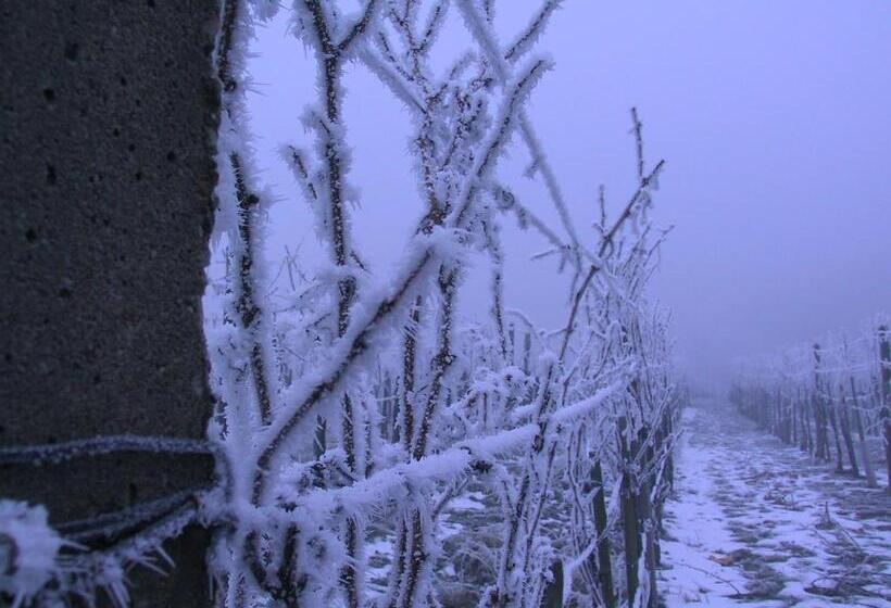 ホテル Weinlandhof