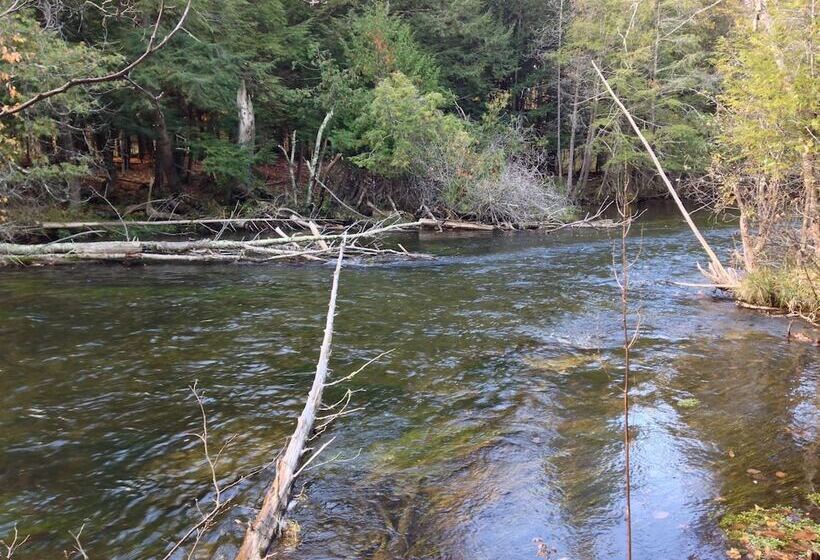 Мотель Cedar Ridge Cabins