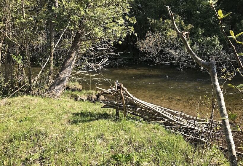 Мотель Cedar Ridge Cabins