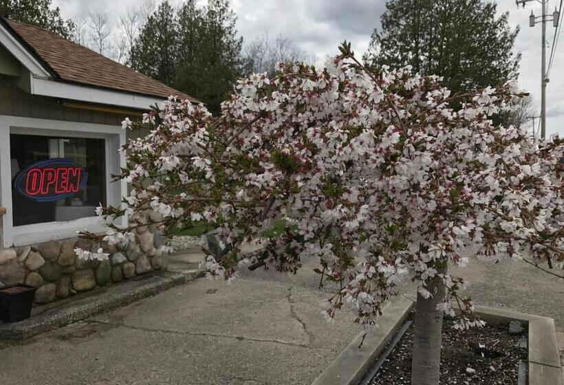 Мотель Cedar Ridge Cabins
