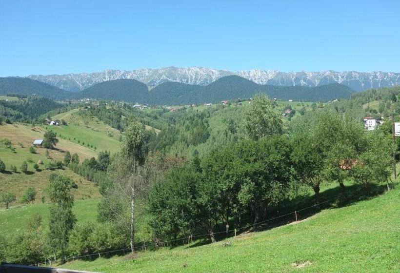 膳宿费 Akasha Retreat