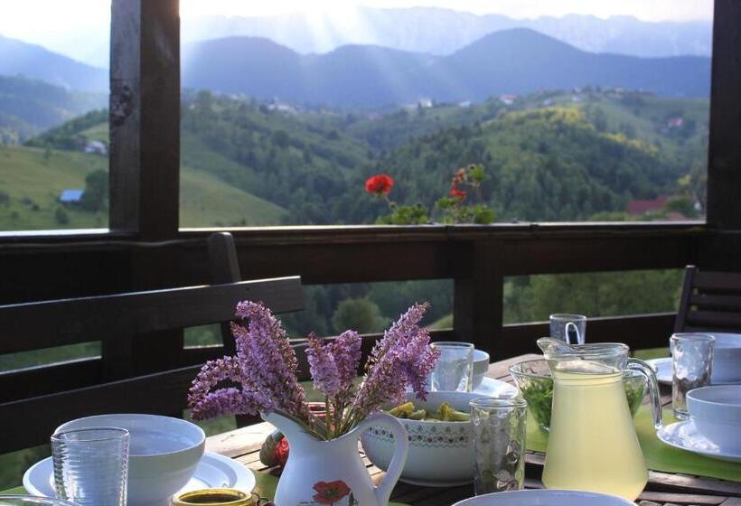 膳宿费 Akasha Retreat