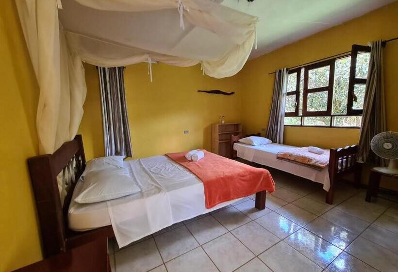 פנסיון Casa Da Trilha