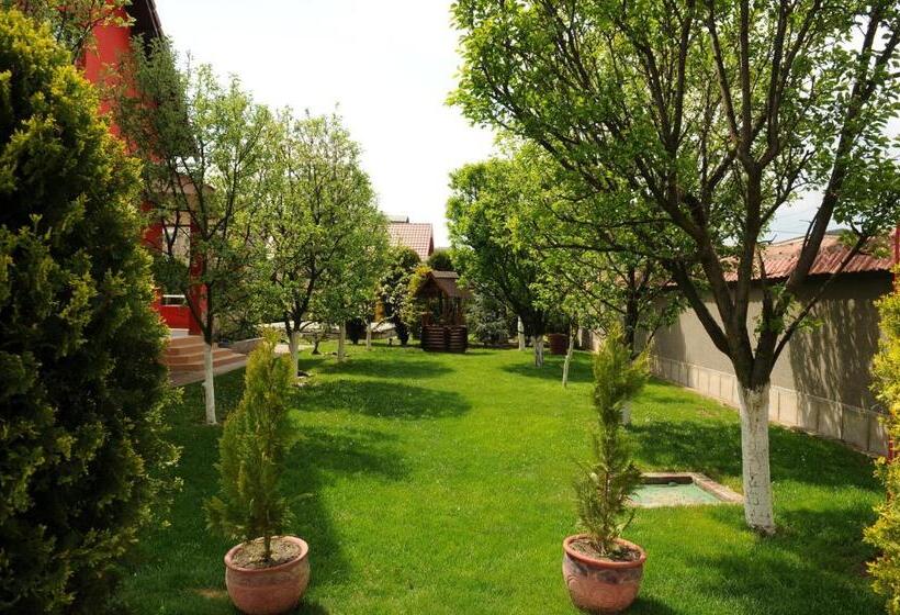 بنسيون Casa Mihai