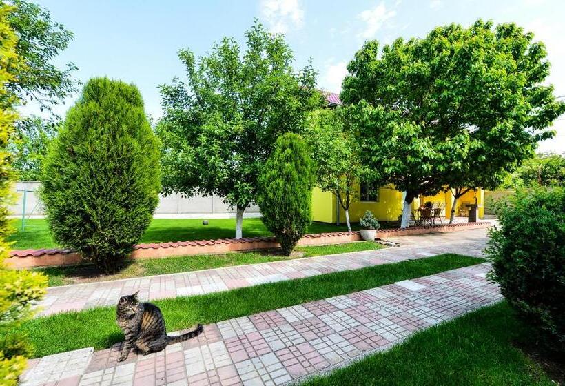 بنسيون Casa Mihai