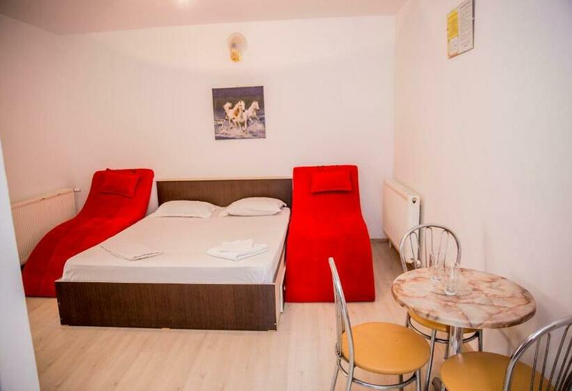 Пансион Casa Raul