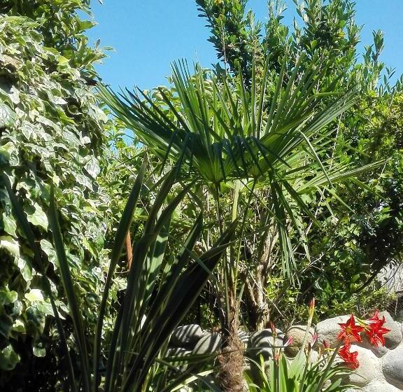 پانسیون Guest House Imeda