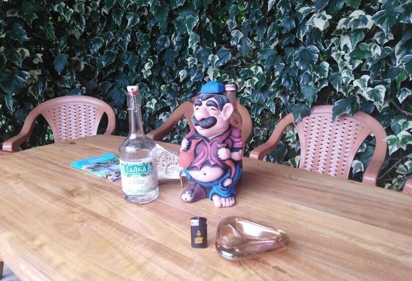 پانسیون Guest House Imeda