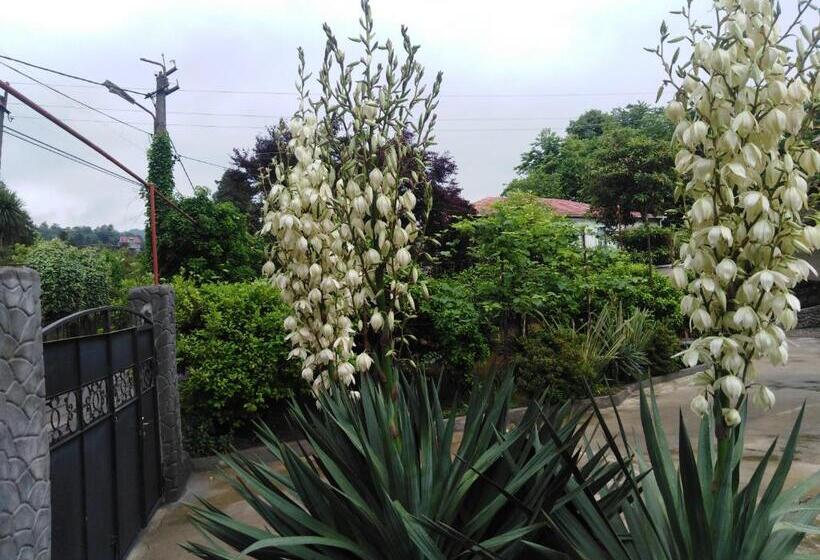 پانسیون Guest House Imeda