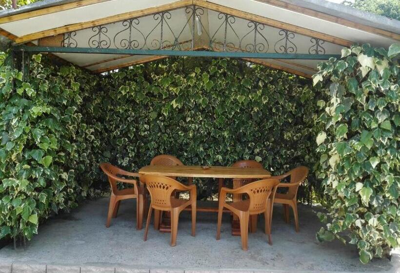 پانسیون Guest House Imeda