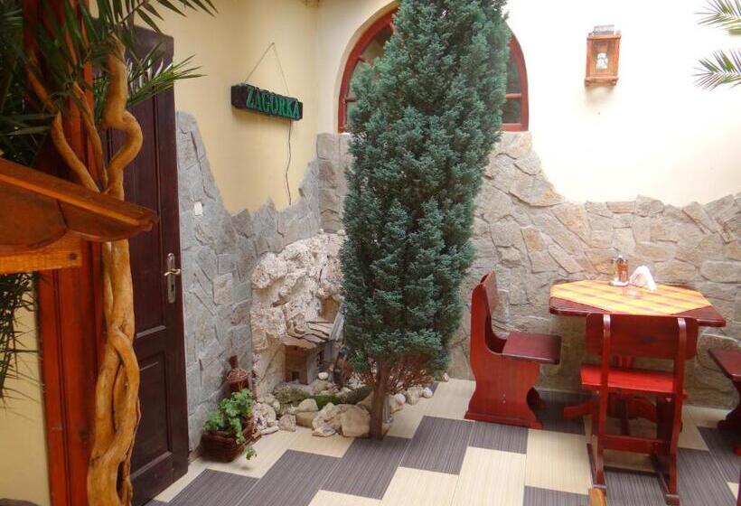 פנסיון Guest House Rosa