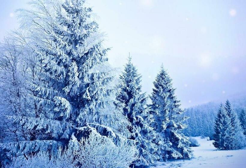 پانسیون Guesthouse Mara