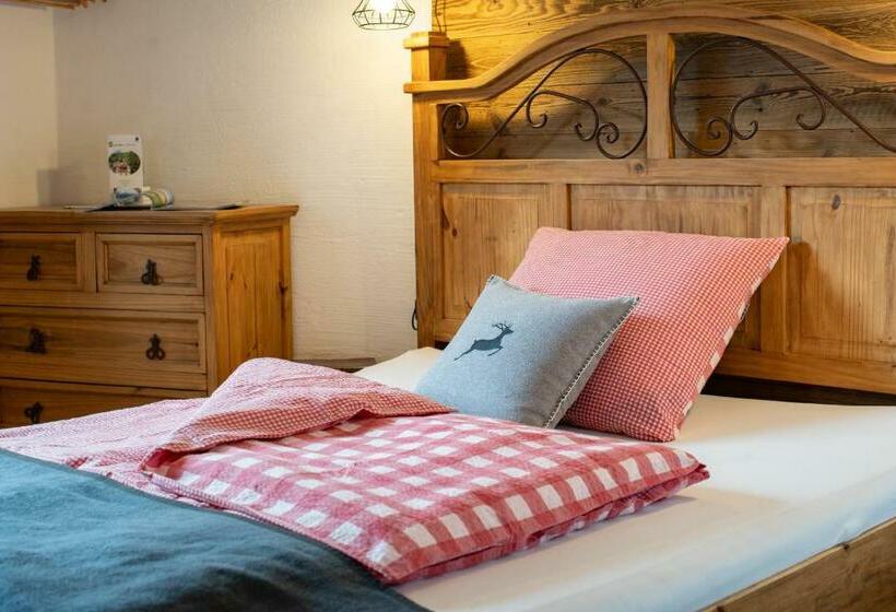 Пансион Haus Ditzer   Villa Theresia