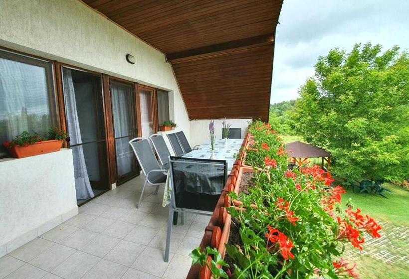 פנסיון Kondor Vendégház