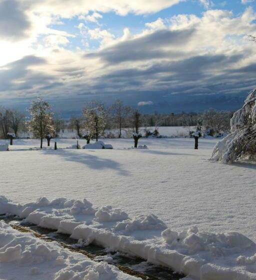 פנסיון Locanda Dei Gelsi
