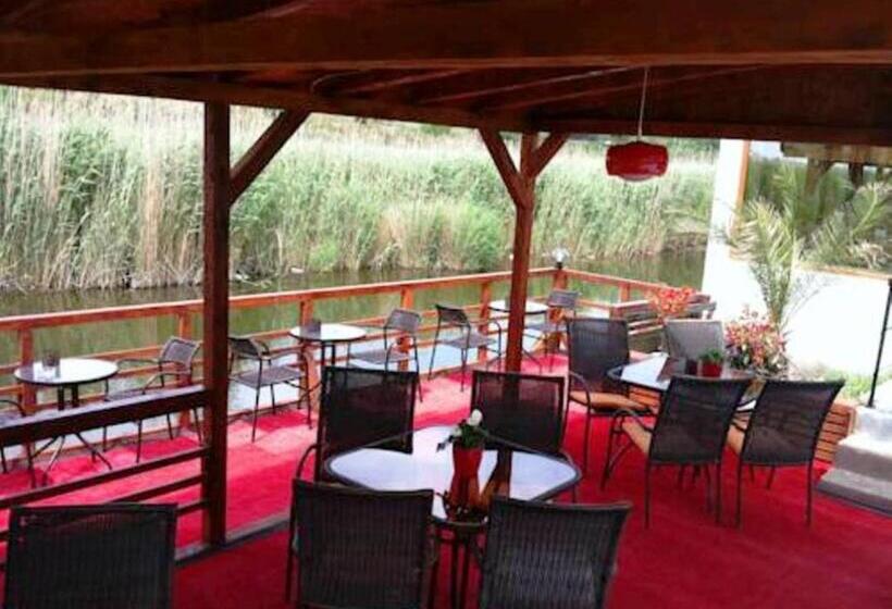 פנסיון Omega Mamaia Nord