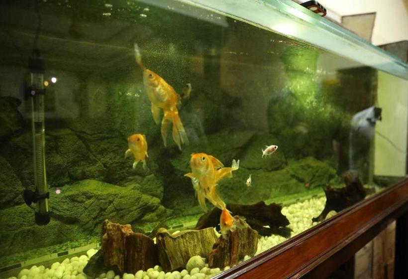 펜션 Ram Guest House