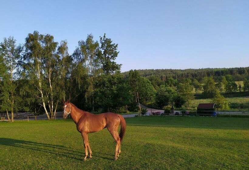 Пансион Statek český Dvůr