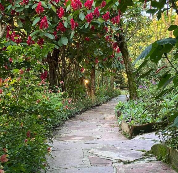 פנסיון Vila Esperança