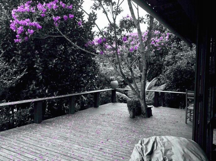 פנסיון Vila Esperança