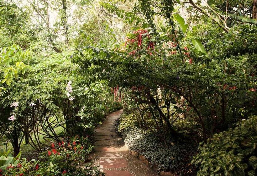 פנסיון Vila Esperança