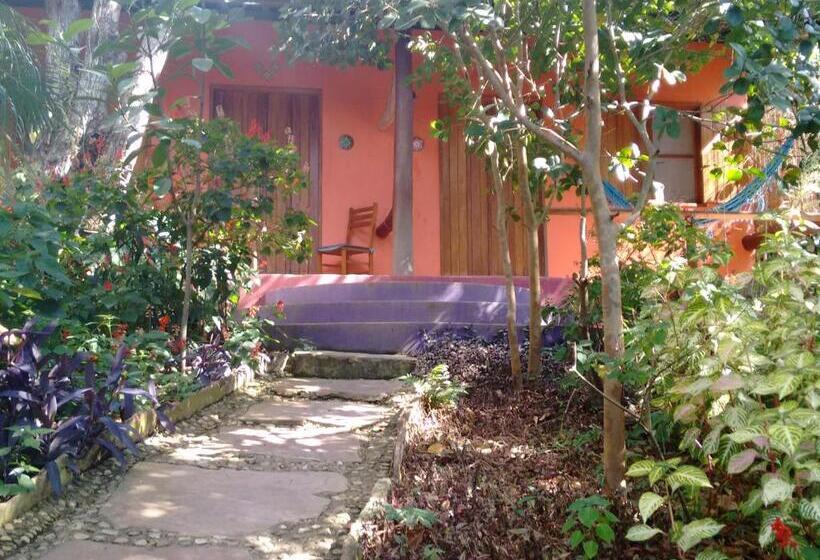 פנסיון Vila Esperança