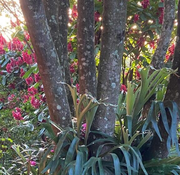 פנסיון Vila Esperança