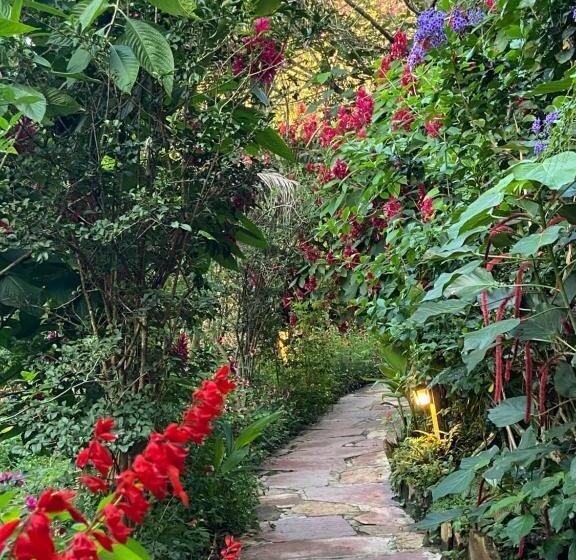 פנסיון Vila Esperança