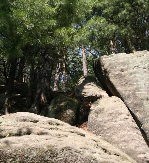 Pension A Restaurant Vesna   české švýcarsko