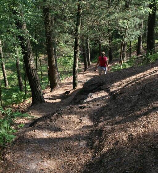 Pension A Restaurant Vesna   české švýcarsko