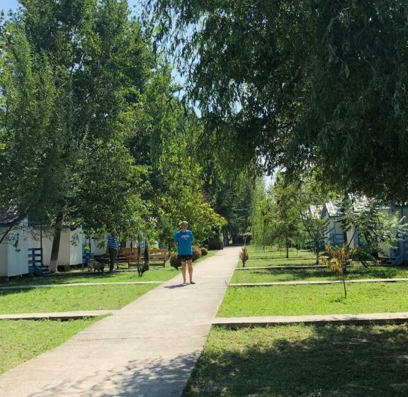 渡假胜地  Satul De Vacanta Campo Euro Club