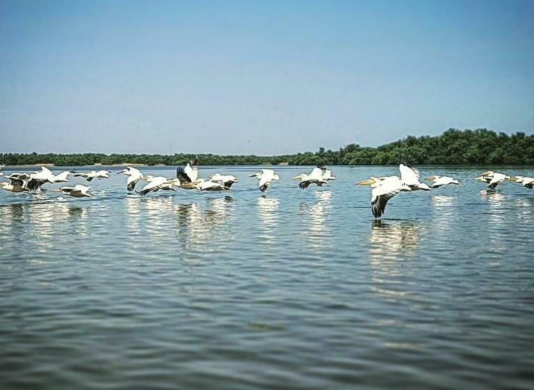 渡假胜地  Satul De Vacanta Campo Euro Club