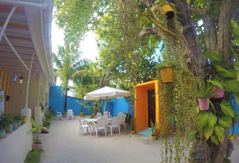 پانسیون Midsummer Thulusdhoo