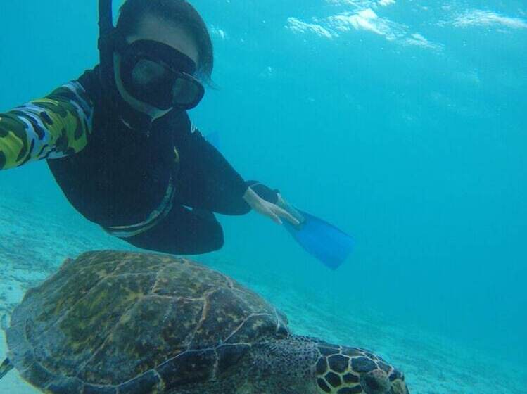 پانسیون Midsummer Thulusdhoo