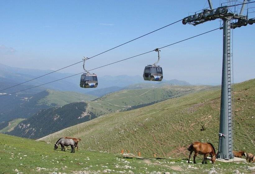 Apartamentos Solineu