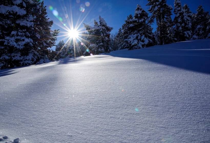 Apartamentos Solineu