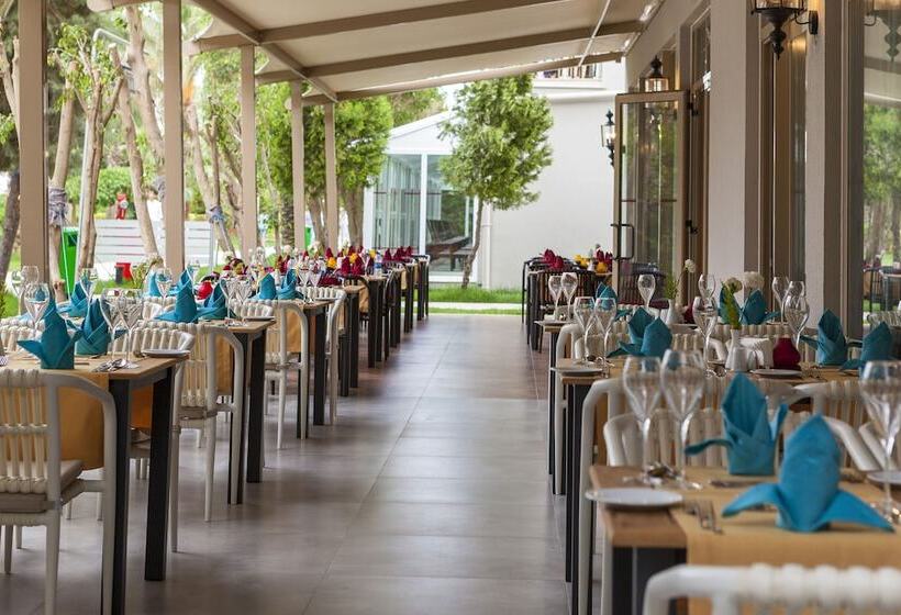 Belek Beach Resort Hotel   All Inclusive