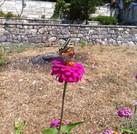 Dimitrakis Apartments