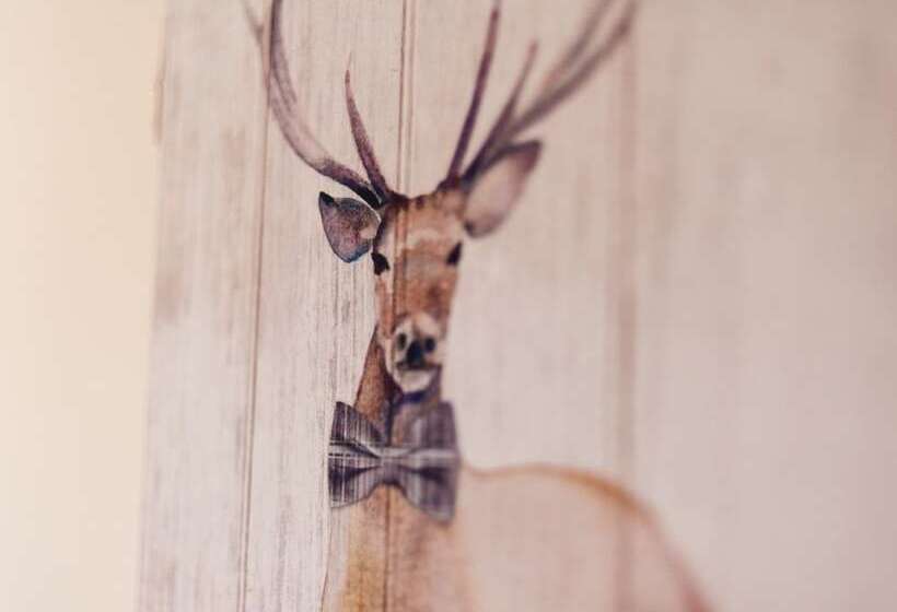 فندق Alban And Abbey House