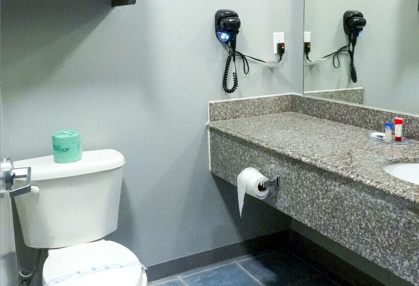 호텔 Americas Best Value Inn And Suites Bush International Airport