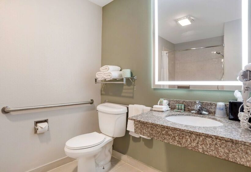 فندق Best Western Bayou Inn