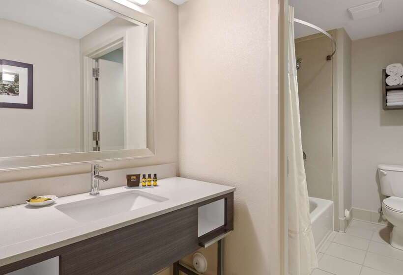 Best Western Plus Kendall Hotel & Suites