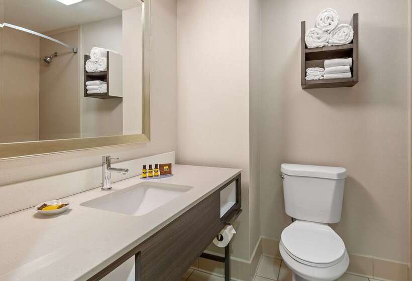 Best Western Plus Kendall Hotel & Suites