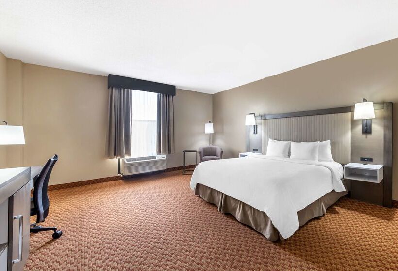 Best Western Plus Kendall Hotel & Suites