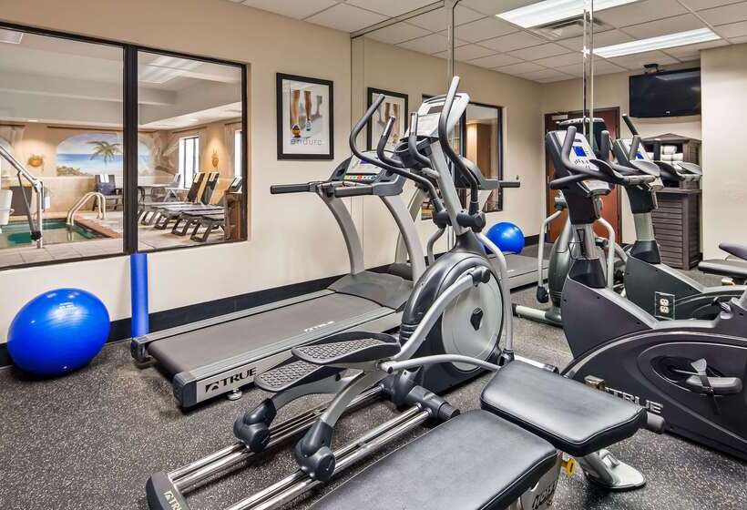 فندق Best Western Plus Memorial Inn